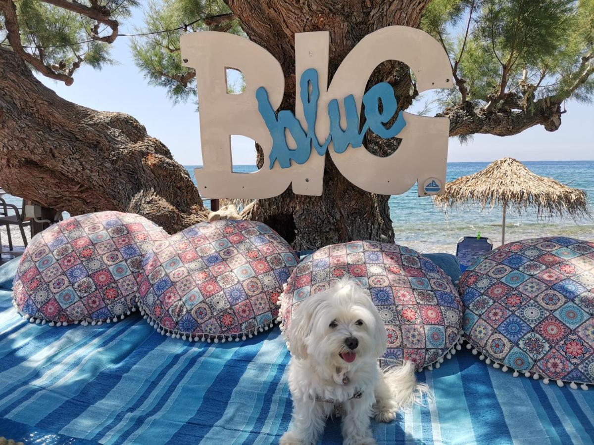 Βig Βlue Apartments Makrýgialos Dış mekan fotoğraf