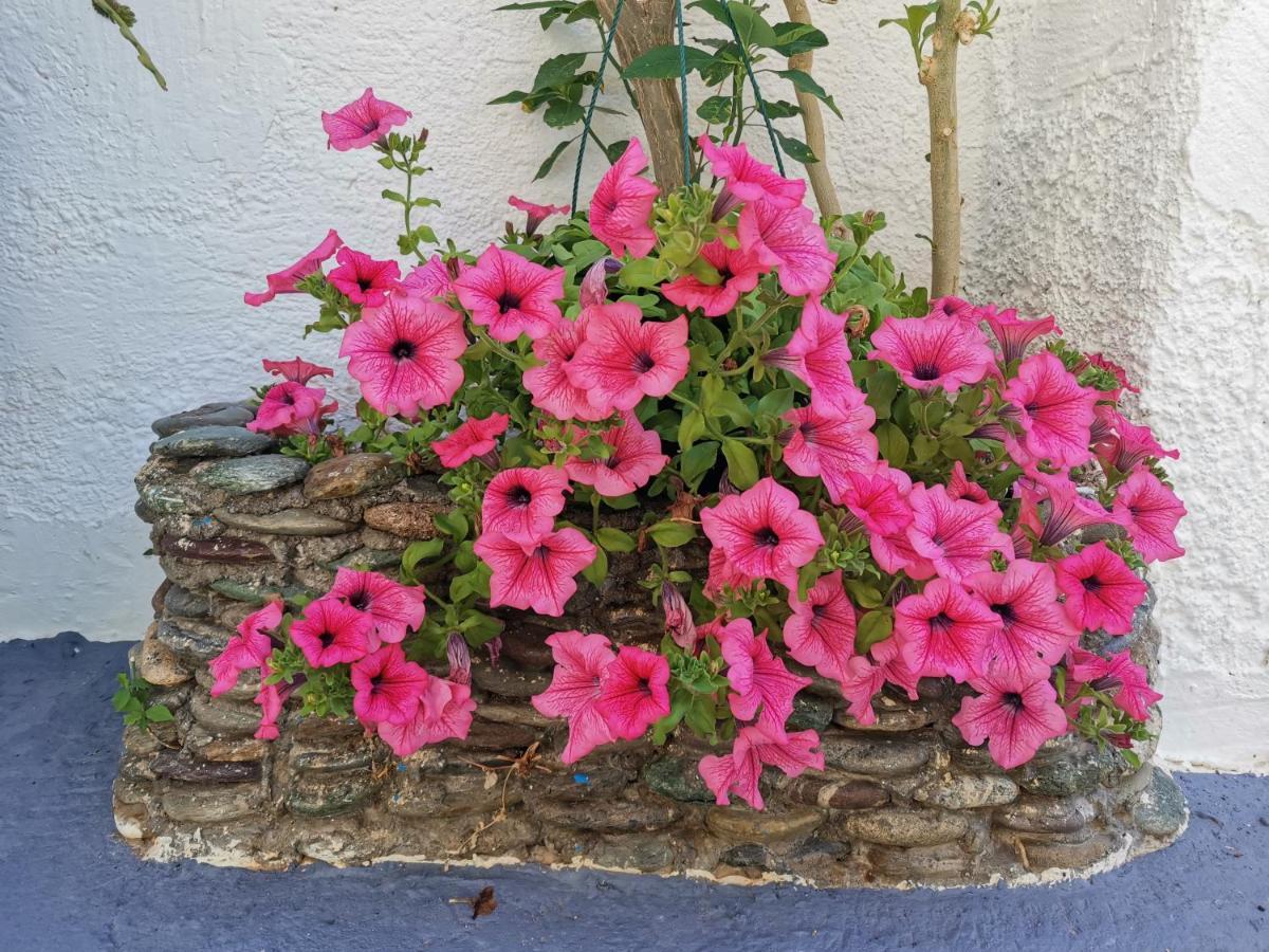 Βig Βlue Apartments Makrýgialos Dış mekan fotoğraf