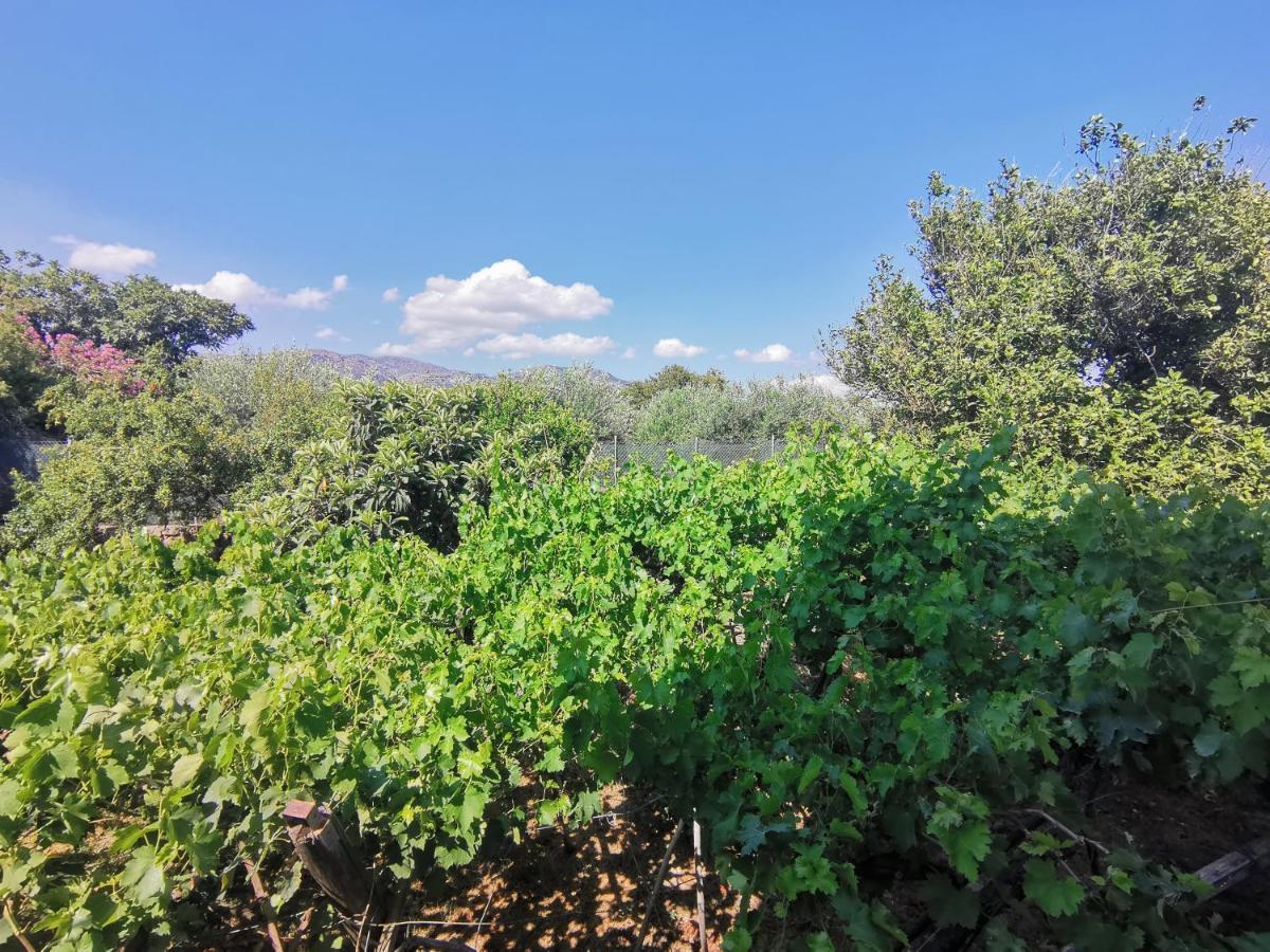 Βig Βlue Apartments Makrýgialos Dış mekan fotoğraf