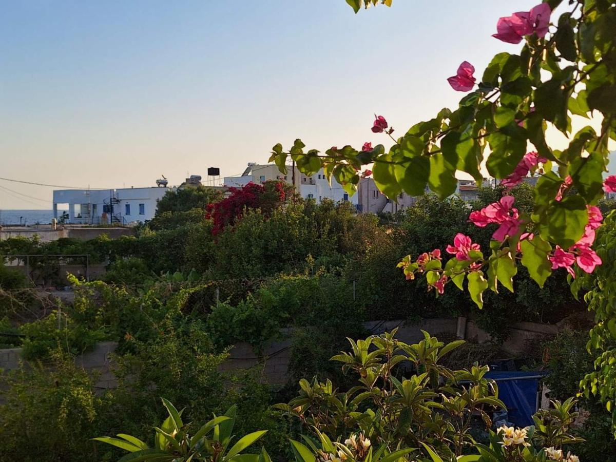 Βig Βlue Apartments Makrýgialos Dış mekan fotoğraf