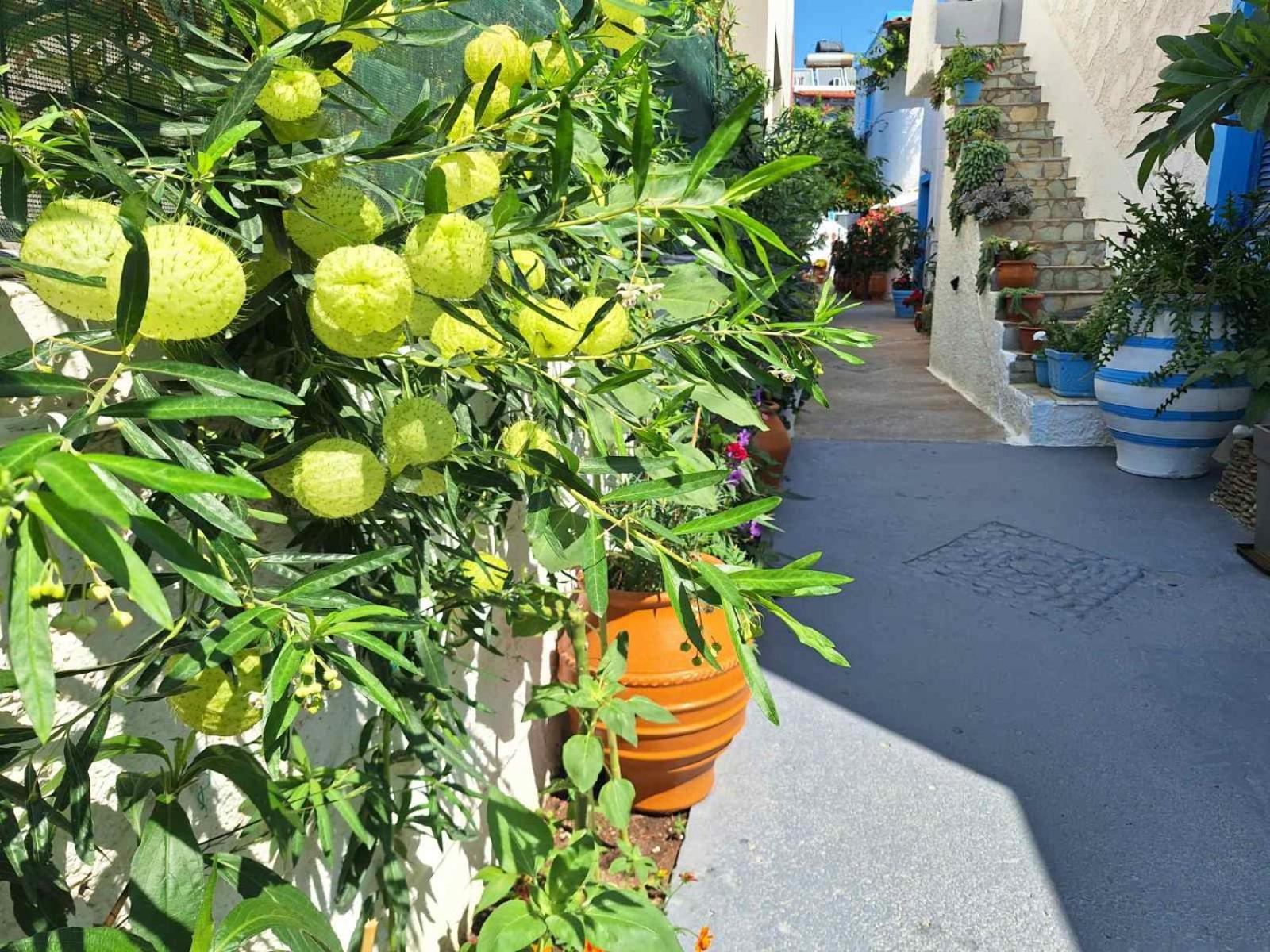 Βig Βlue Apartments Makrýgialos Dış mekan fotoğraf