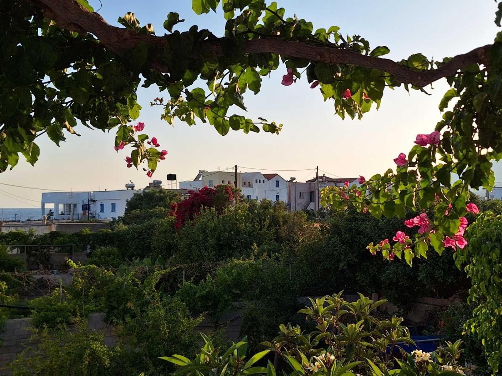 Βig Βlue Apartments Makrýgialos Dış mekan fotoğraf