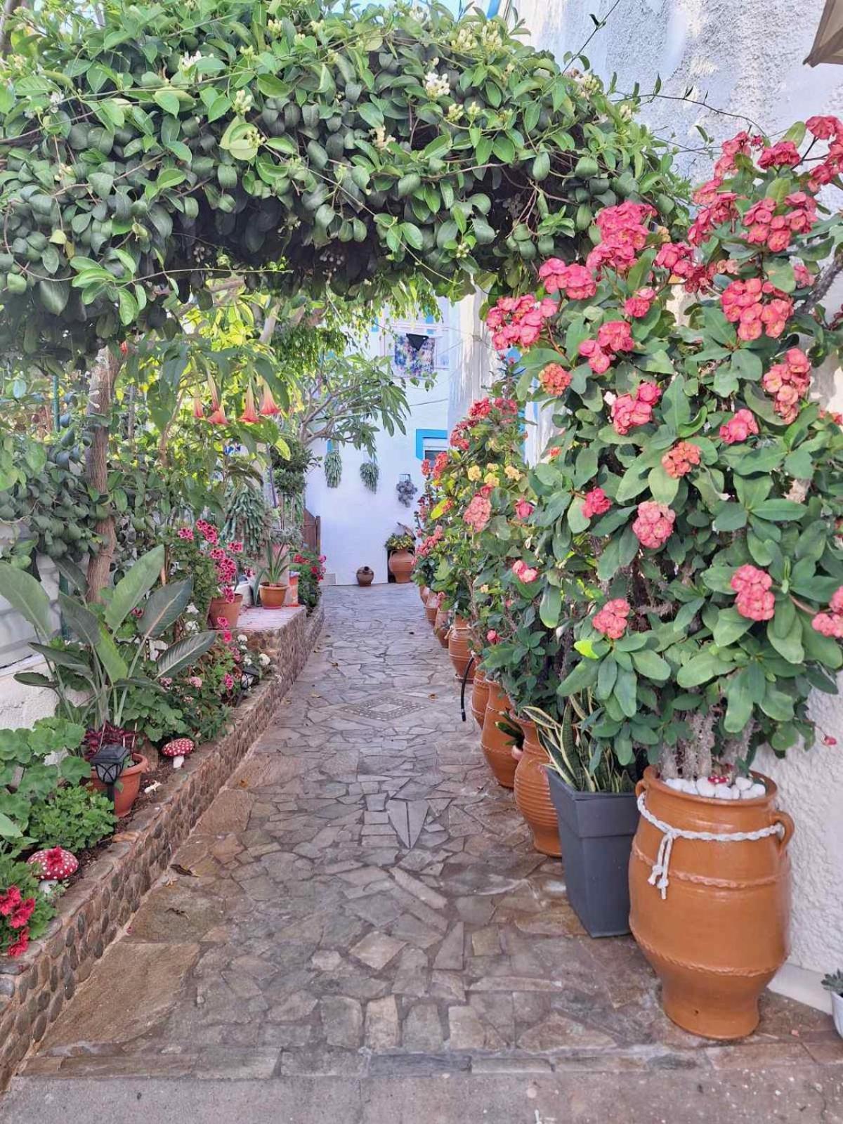 Βig Βlue Apartments Makrýgialos Dış mekan fotoğraf