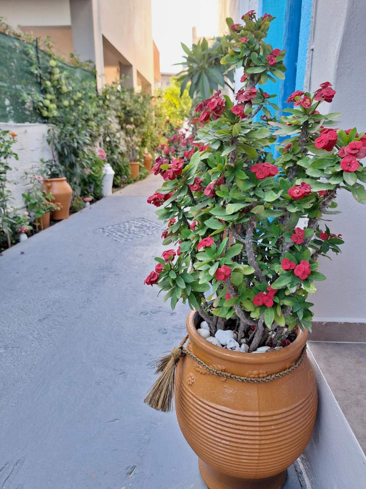 Βig Βlue Apartments Makrýgialos Dış mekan fotoğraf