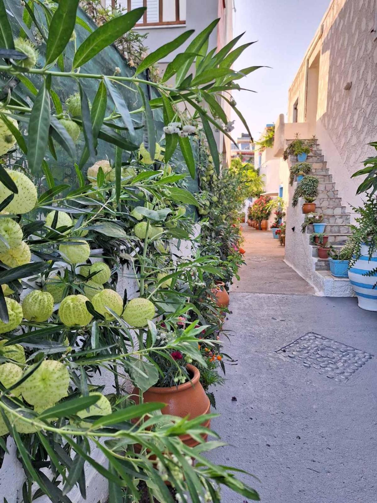 Βig Βlue Apartments Makrýgialos Dış mekan fotoğraf