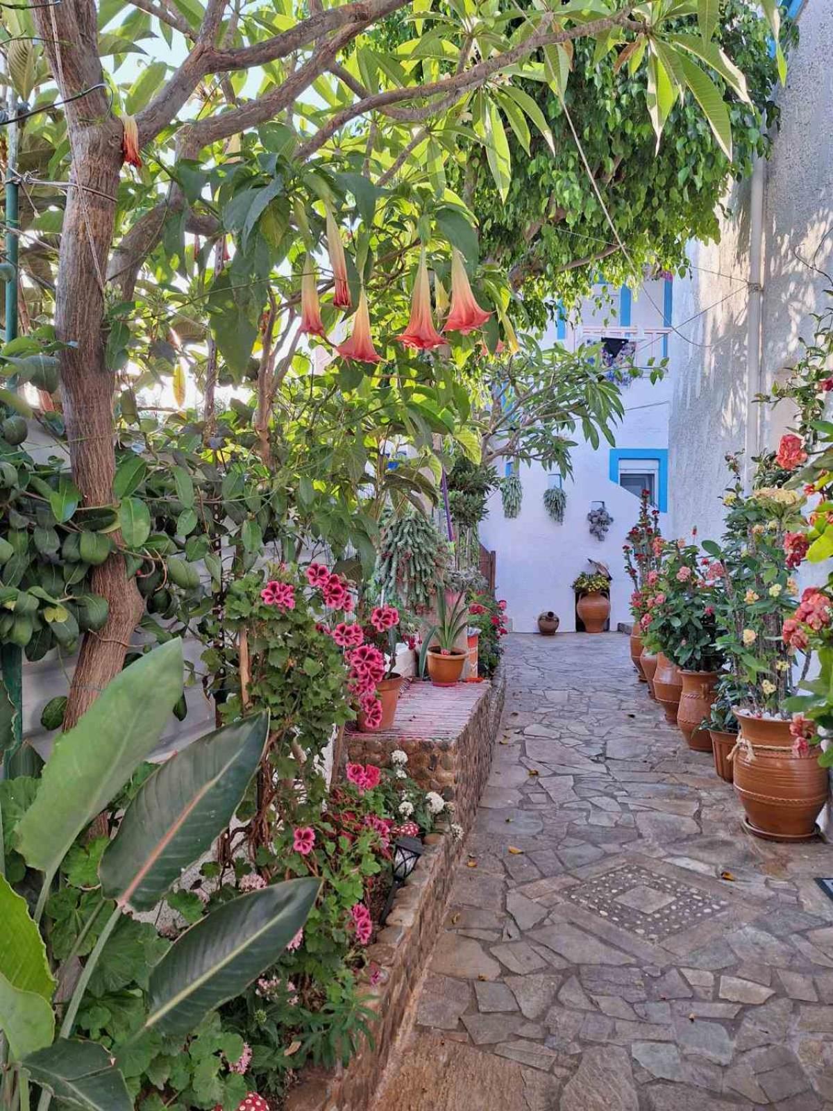 Βig Βlue Apartments Makrýgialos Dış mekan fotoğraf