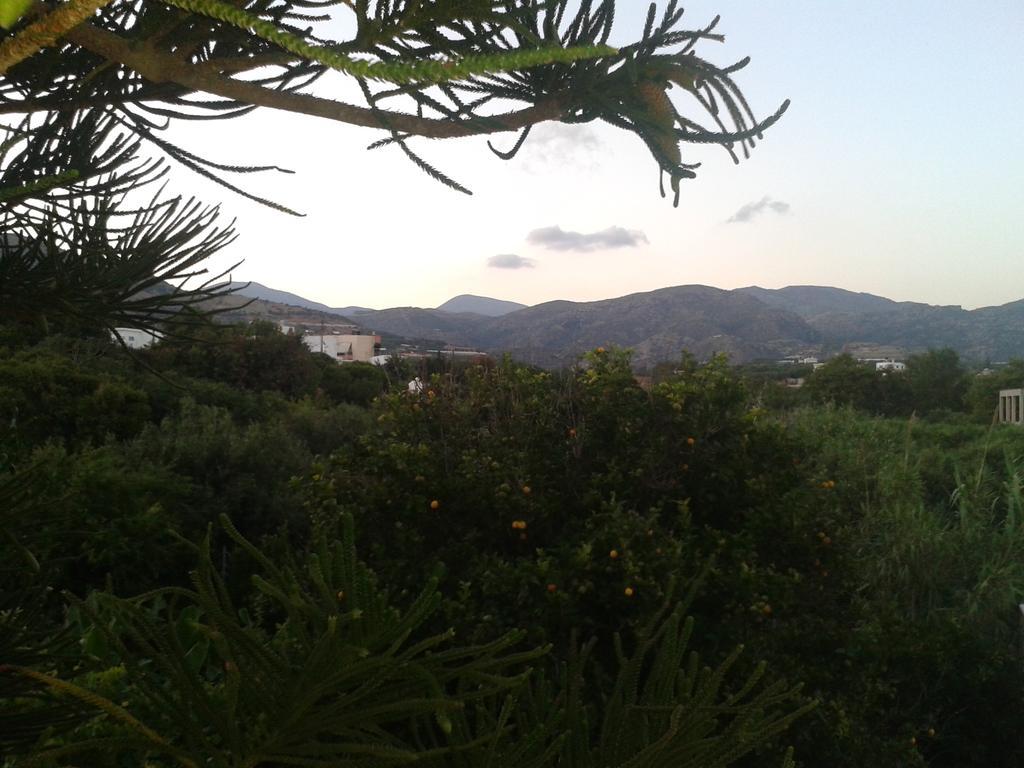 Βig Βlue Apartments Makrýgialos Oda fotoğraf
